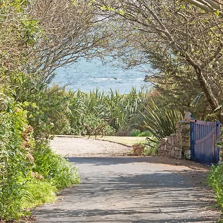 Dolphin Beach House Hotel 4*