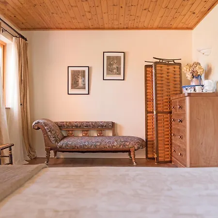 Hotel Dolphin Beach House